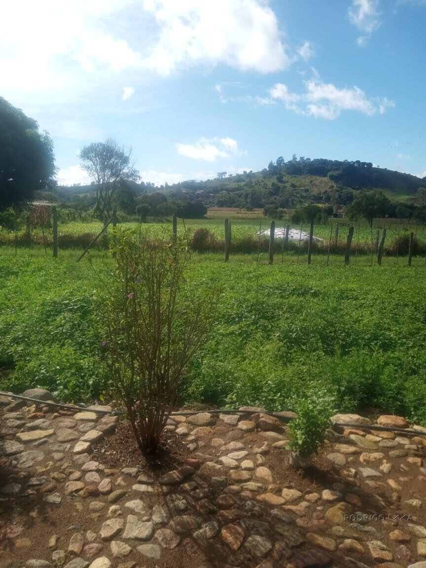 Chácara para venda em Dom Viçoso MG