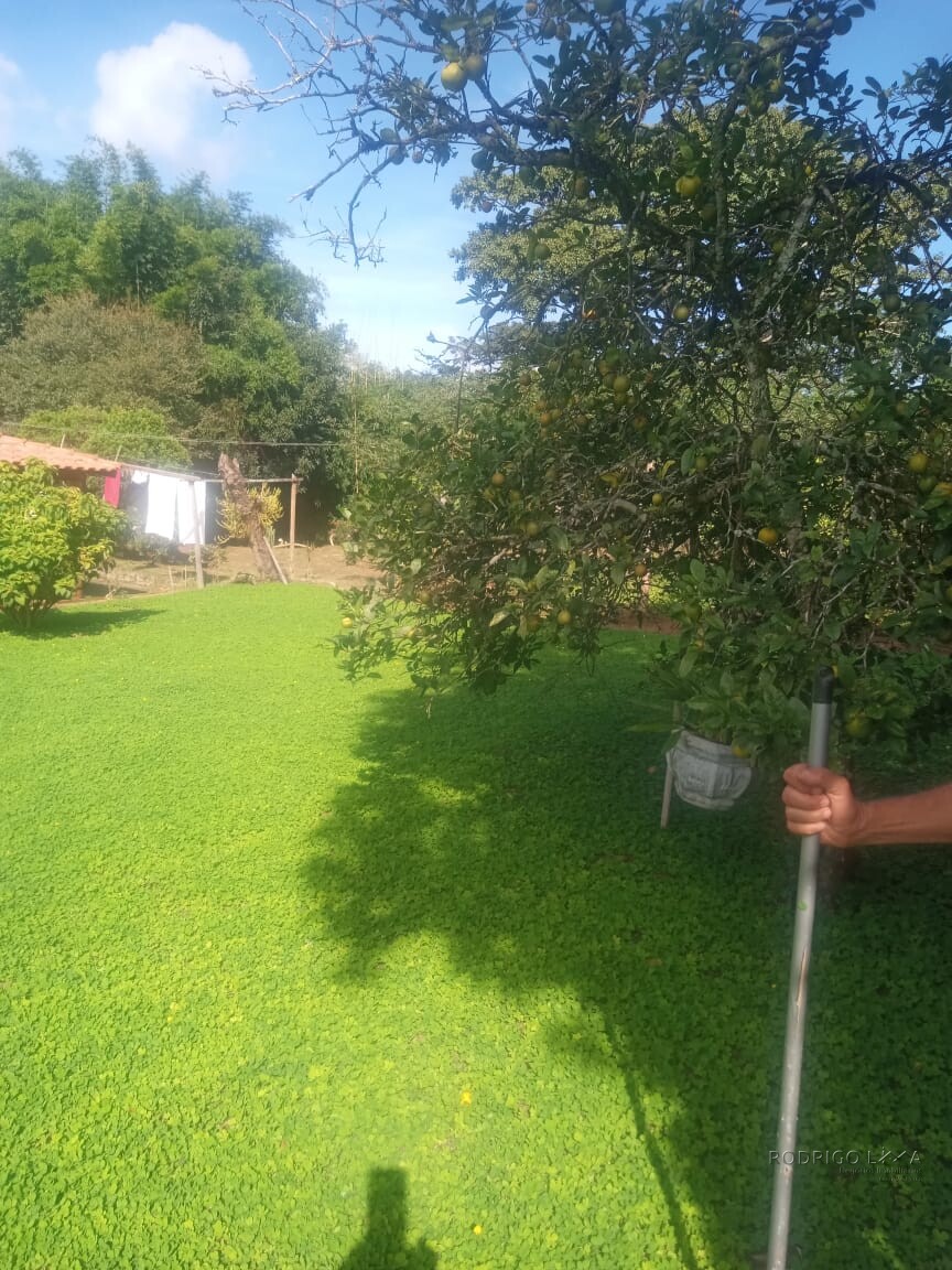 Chácara para venda em Dom Viçoso MG