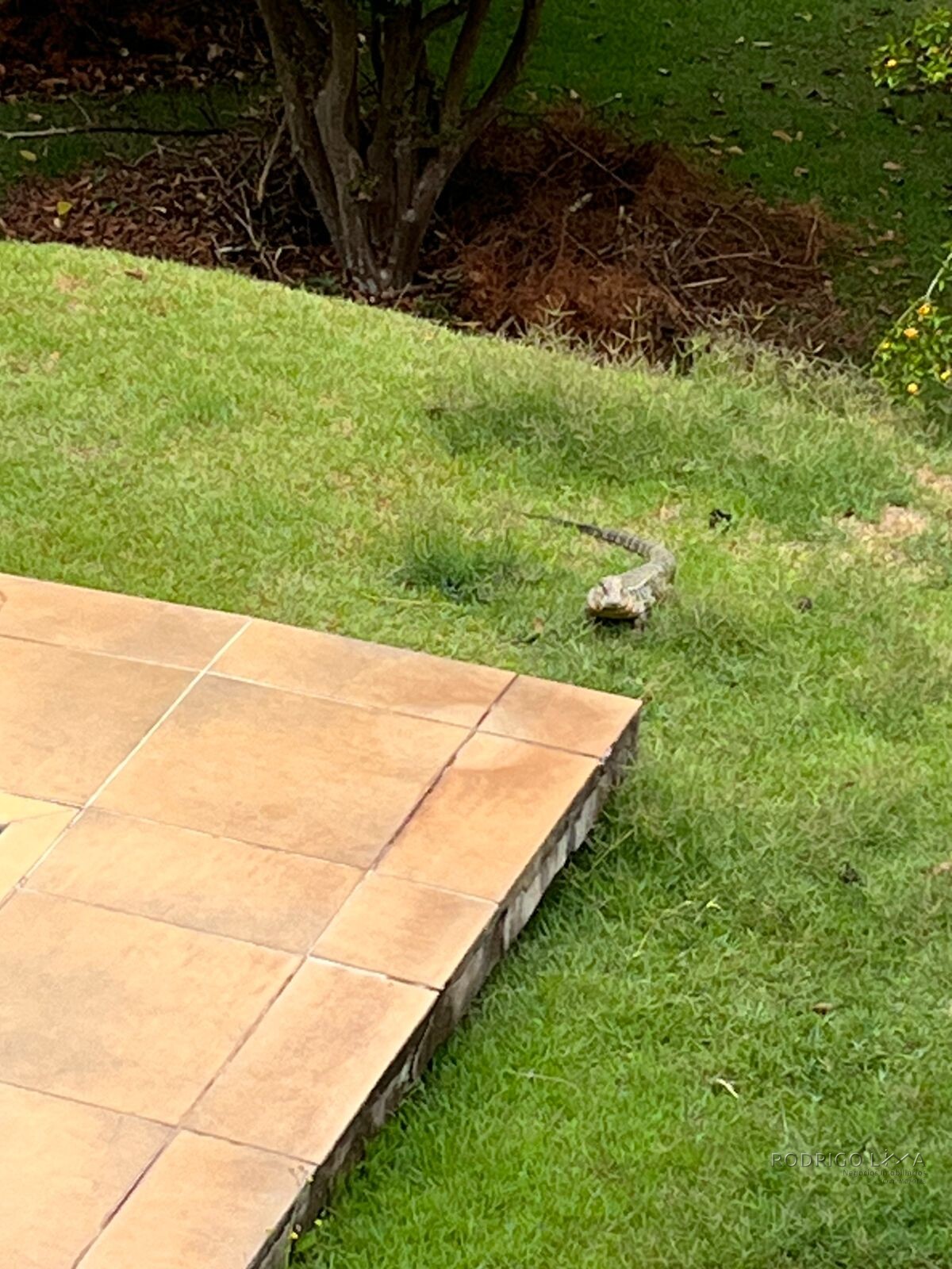 Casa de alto padrão para venda próximo a São Lourenço MG