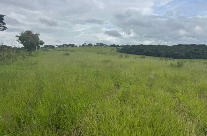 Fazenda para venda em Oliveira MG