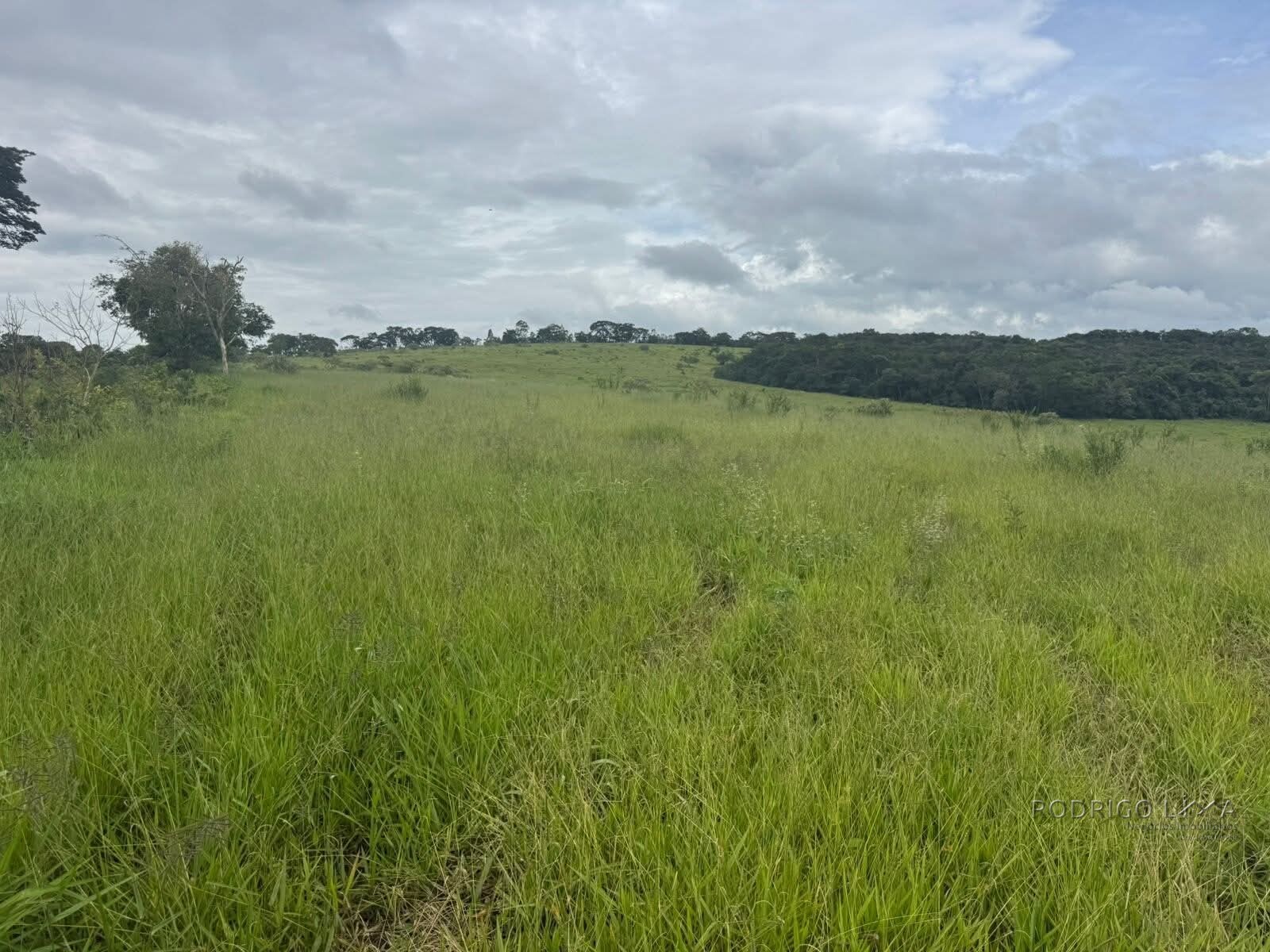 Fazenda para venda em Oliveira MG