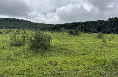 Fazenda para venda em Oliveira MG
