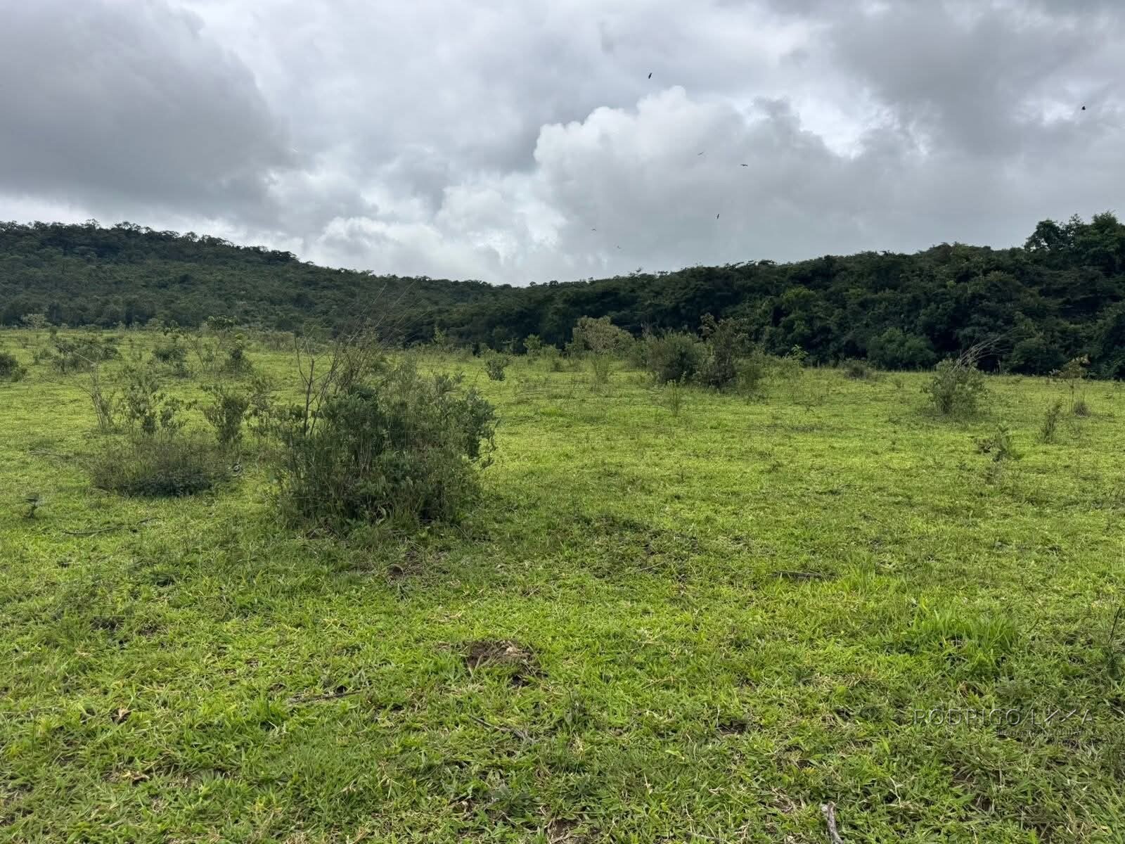 Fazenda para venda em Oliveira MG