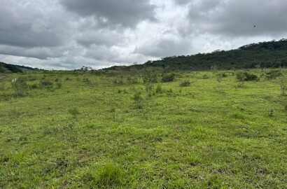 Fazenda para venda em Oliveira MG