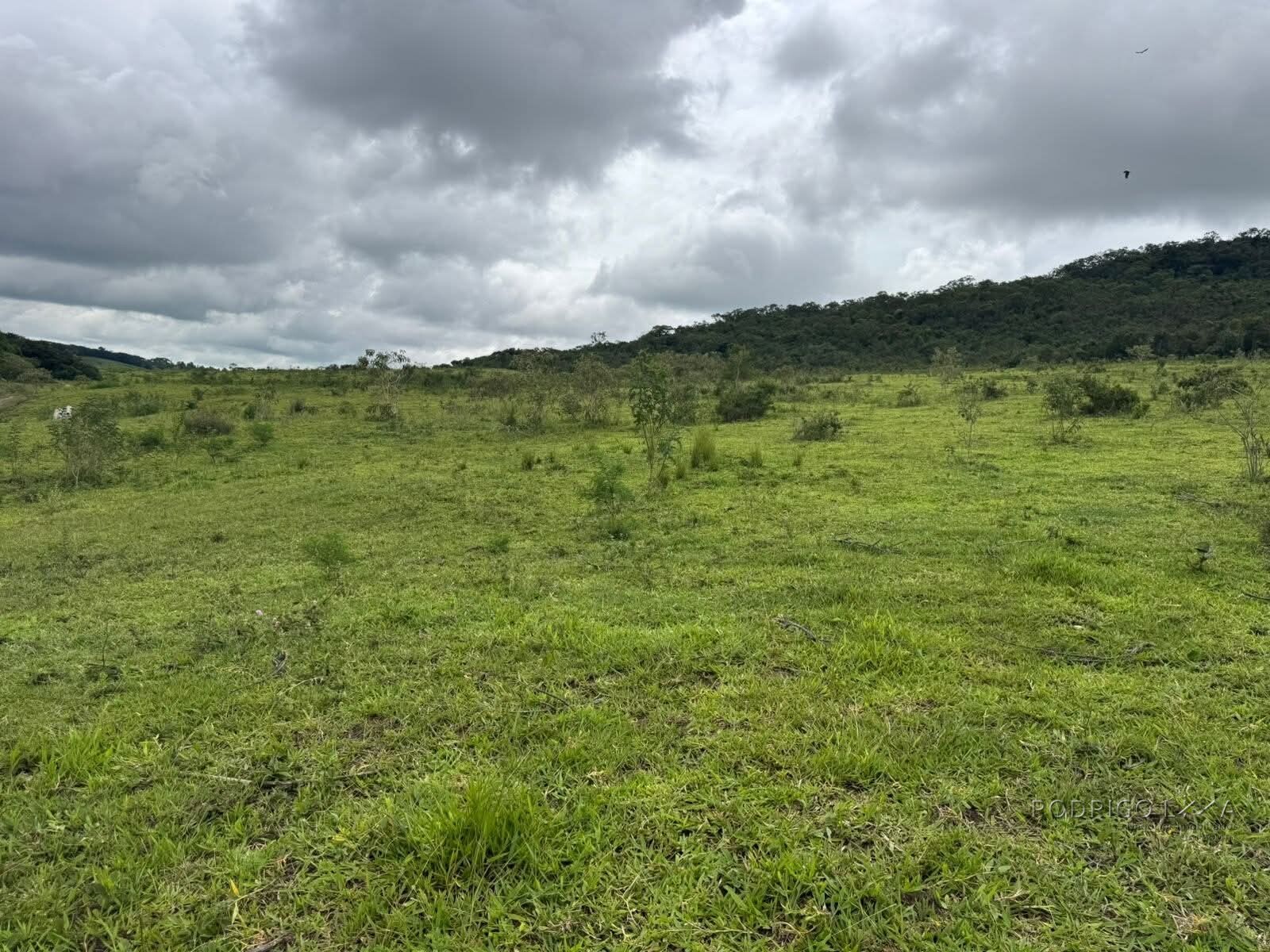 Fazenda para venda em Oliveira MG