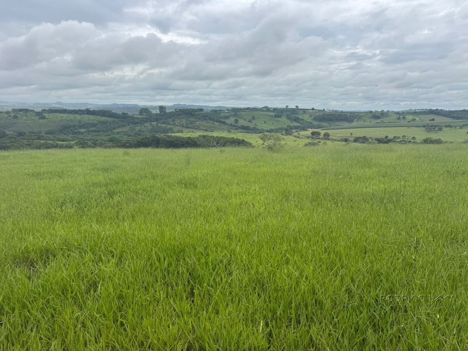 Fazenda para venda em Oliveira MG