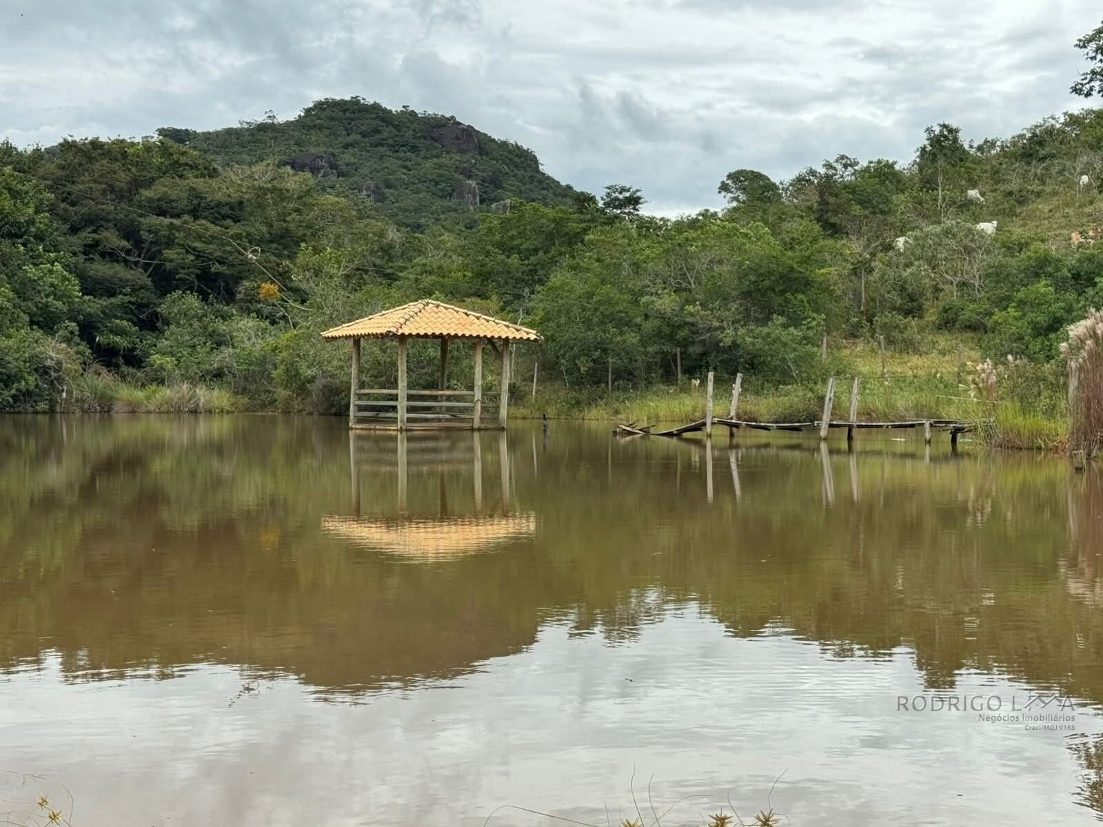 Fazenda para venda em Oliveira MG