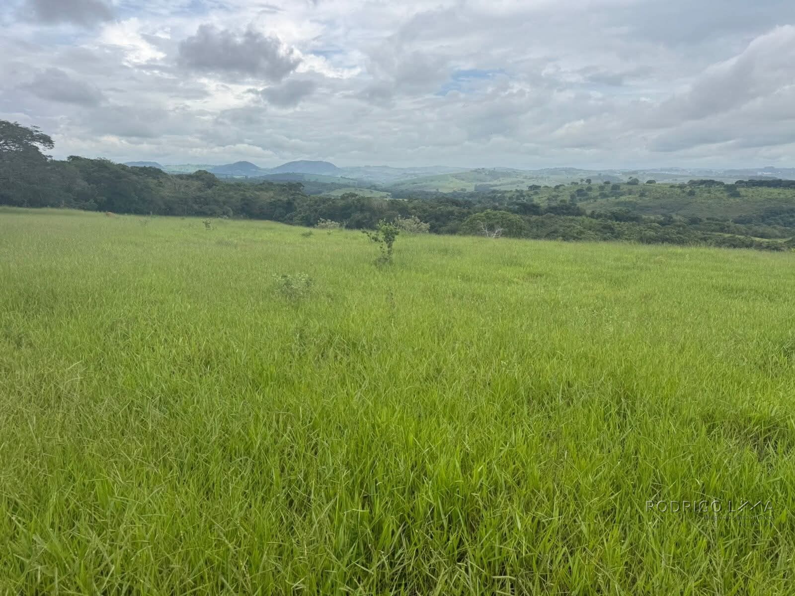 Fazenda para venda em Oliveira MG