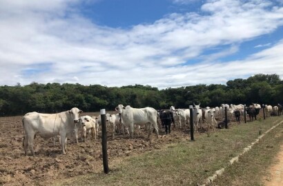 Fazenda para venda em Oliveira MG
