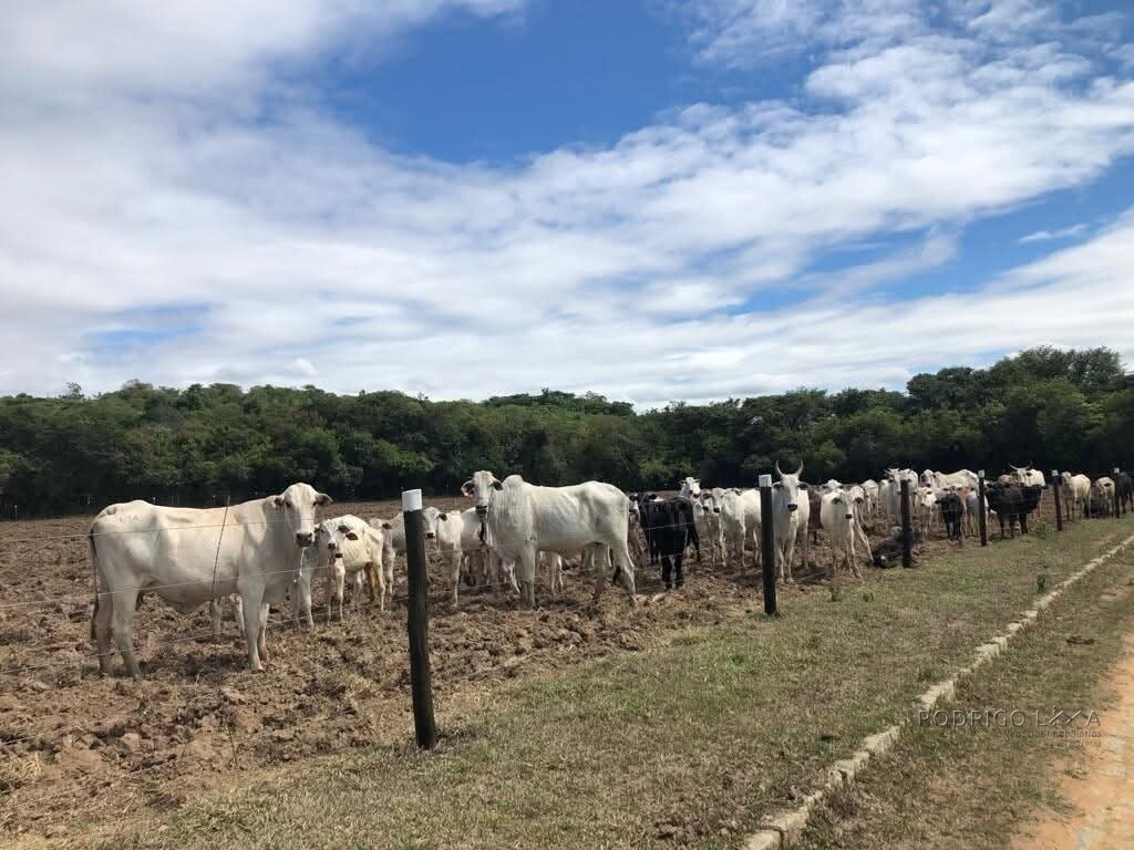 Fazenda para venda em Oliveira MG