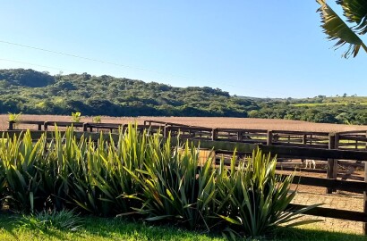 Fazenda para venda em Oliveira MG