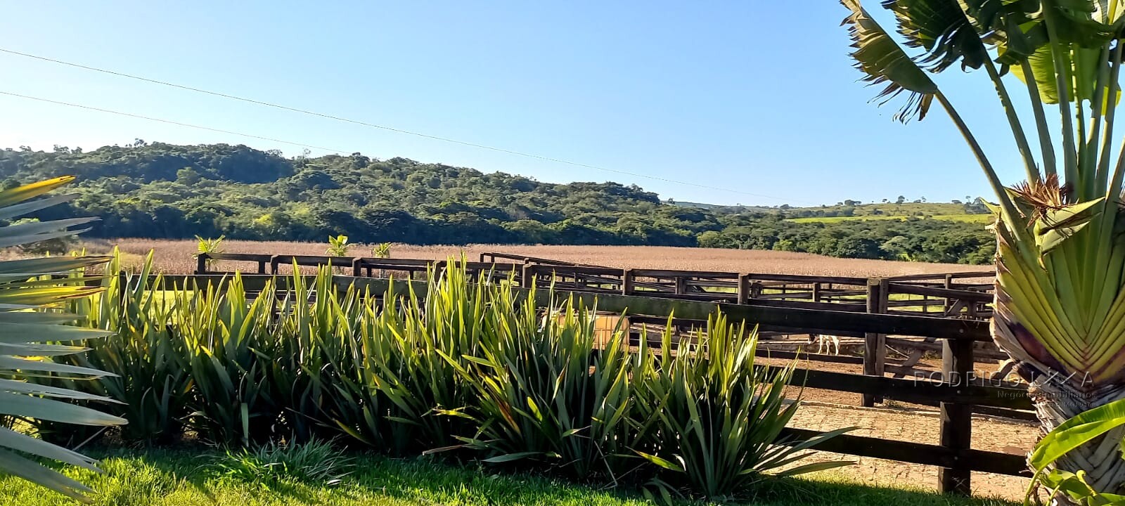 Fazenda para venda em Oliveira MG