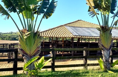 Fazenda para venda em Oliveira MG