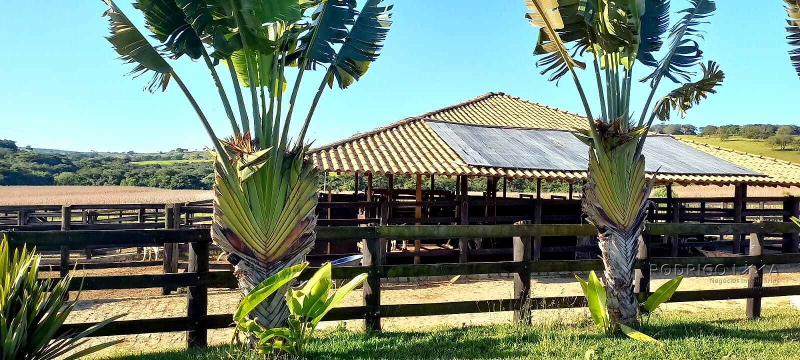 Fazenda para venda em Oliveira MG
