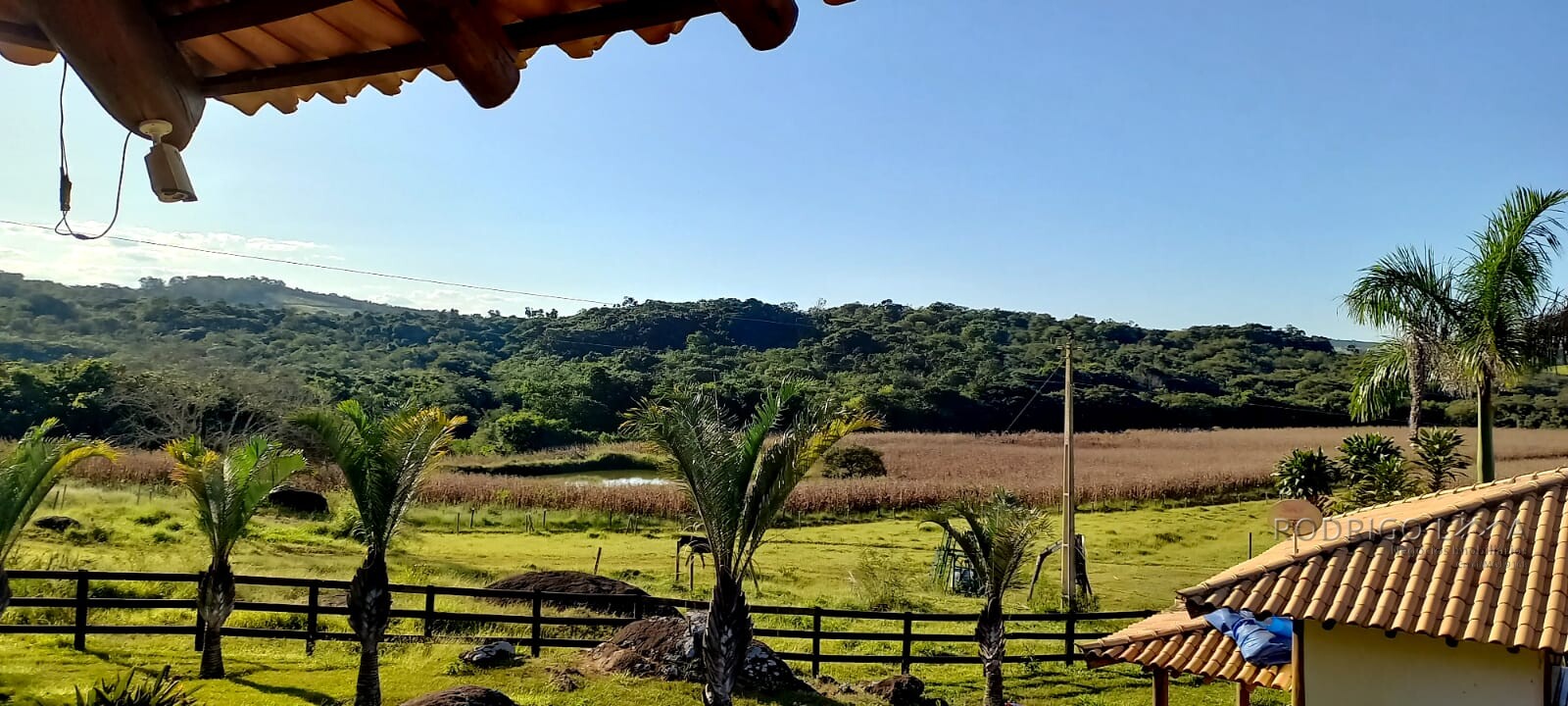 Fazenda para venda em Oliveira MG