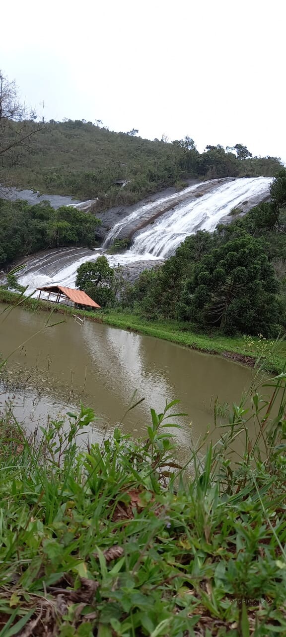Fazenda para venda na região de  Carvalhos MG
