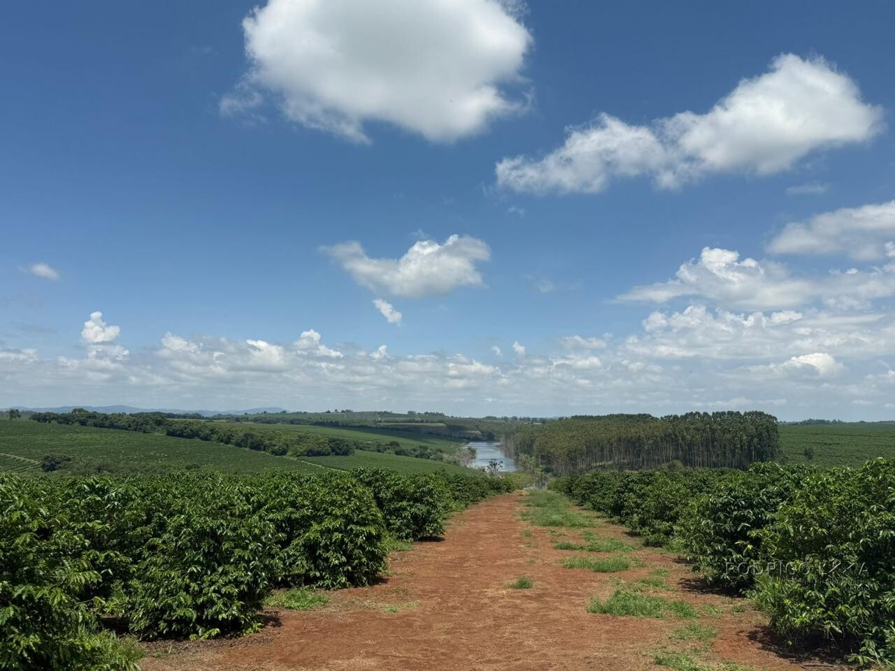 Fazenda para venda em Machado MG