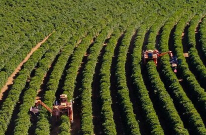 Fazenda para venda na região de Franca SP