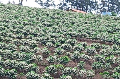 Fazenda para venda na região de Capelinha MG