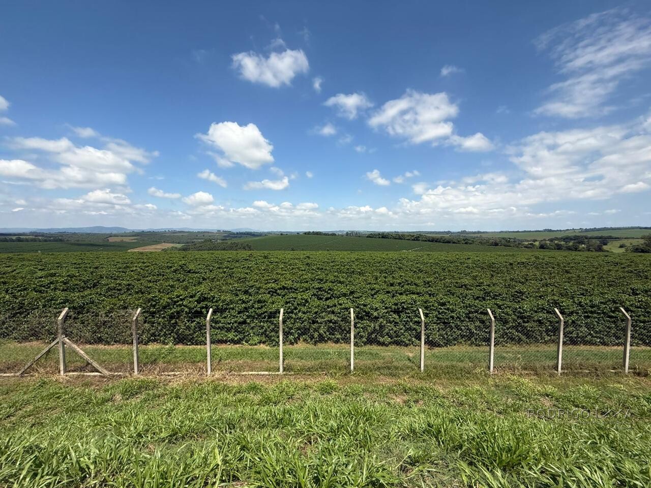 Fazenda para venda em Machado MG
