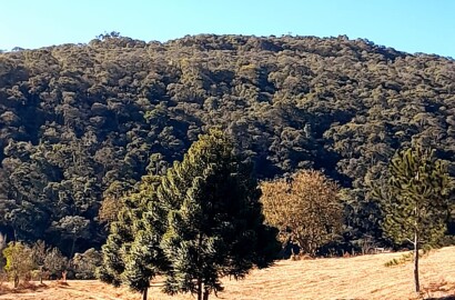 Fazenda para venda na região de  Carvalhos MG