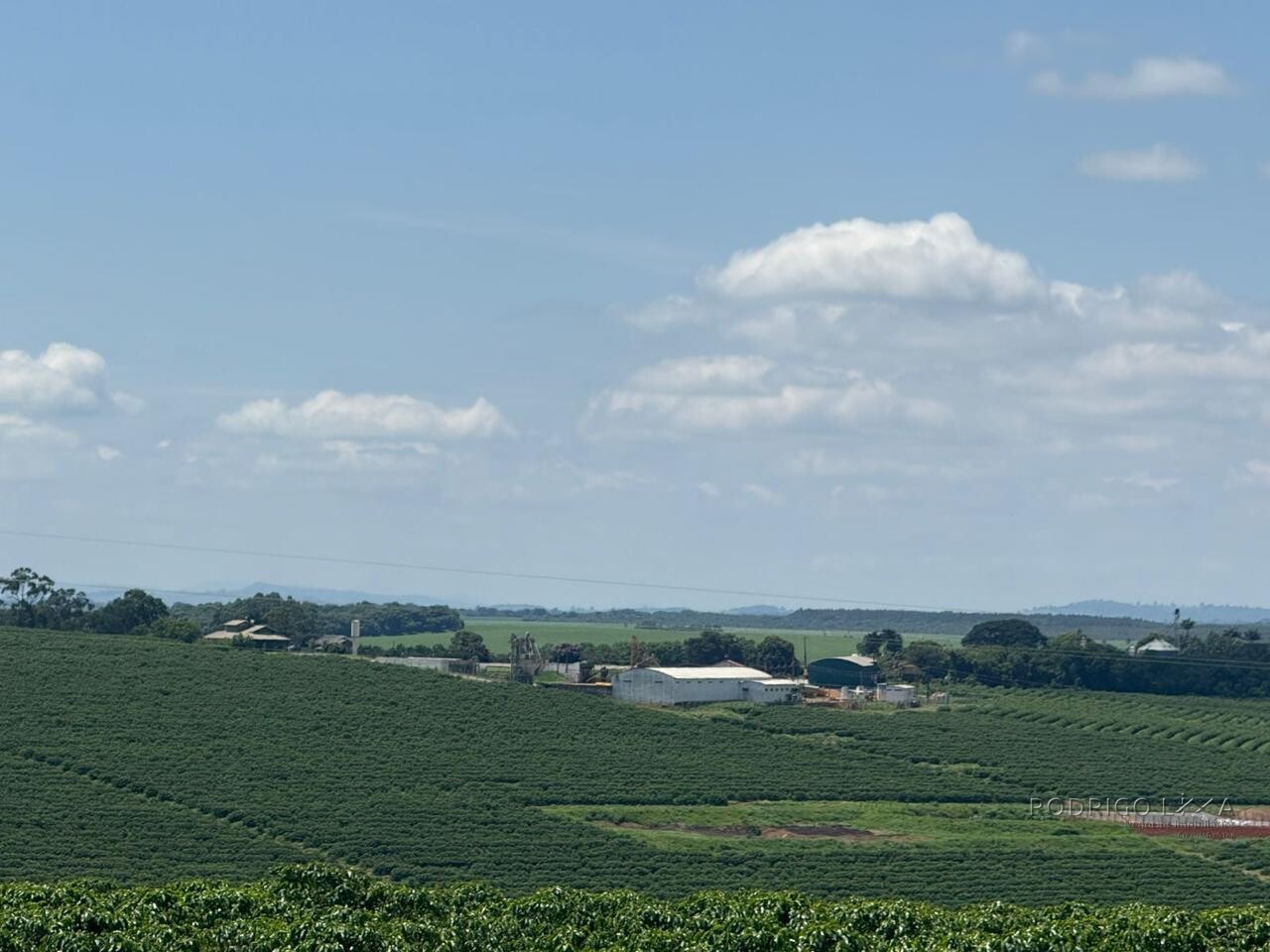 Fazenda para venda em Machado MG