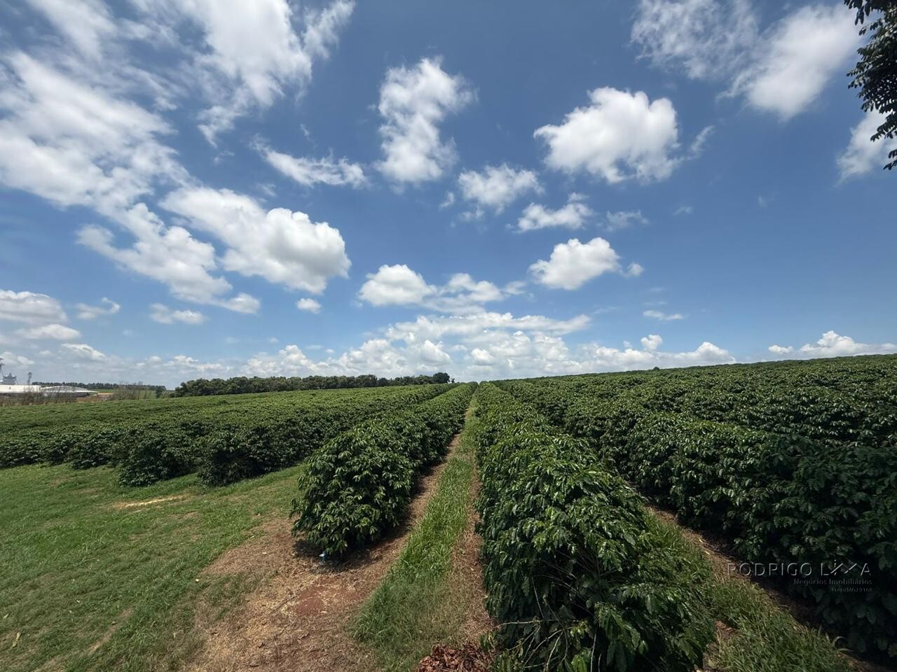 Fazenda para venda em Machado MG