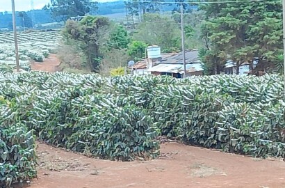 Fazenda para venda na região de Capelinha MG