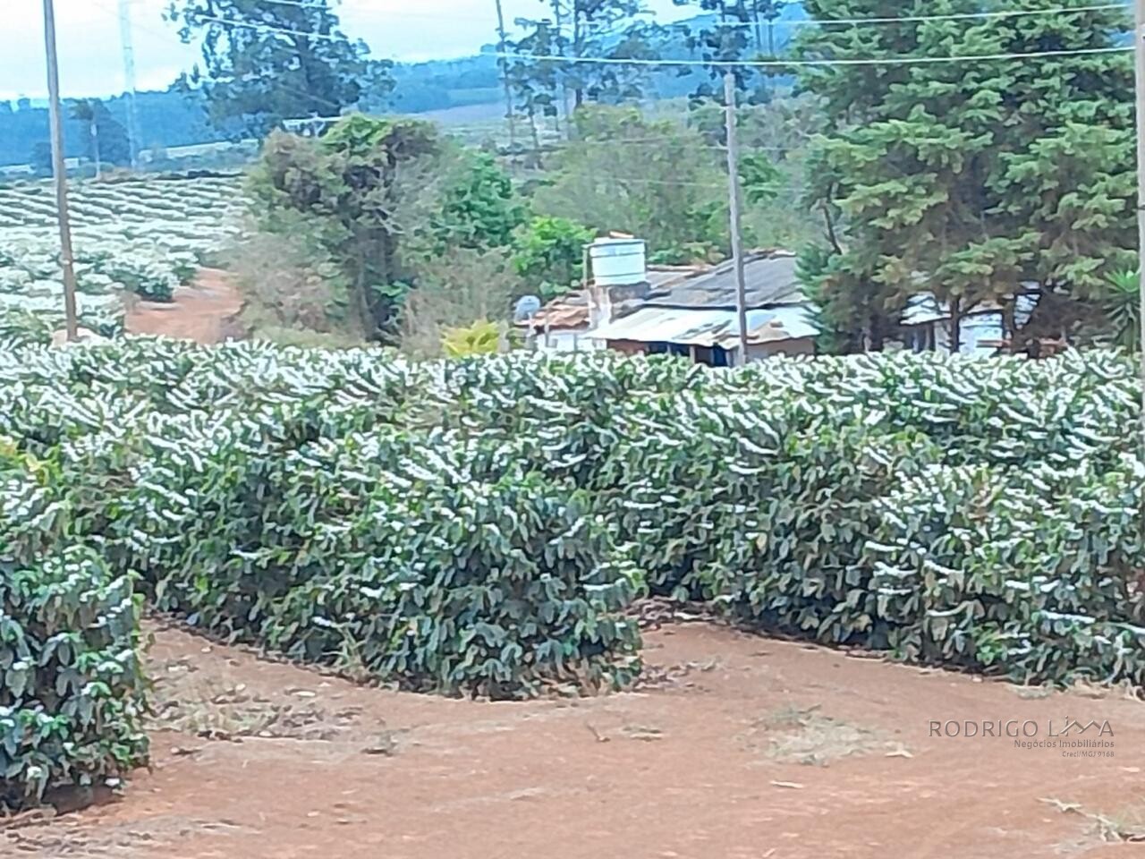Fazenda para venda na região de Capelinha MG