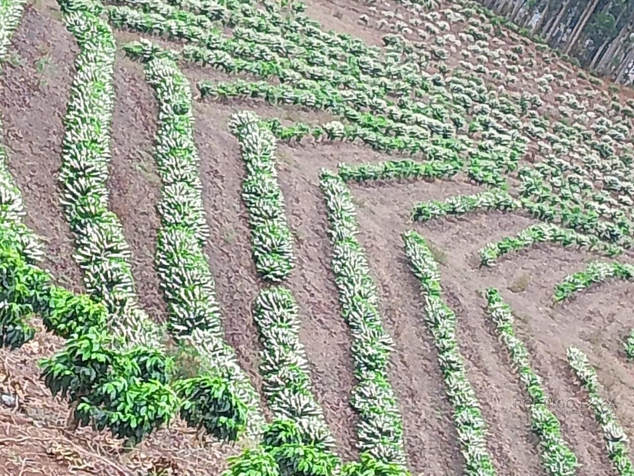 Fazenda para venda na região de Capelinha MG
