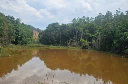 Fazenda para venda na região de Capelinha MG