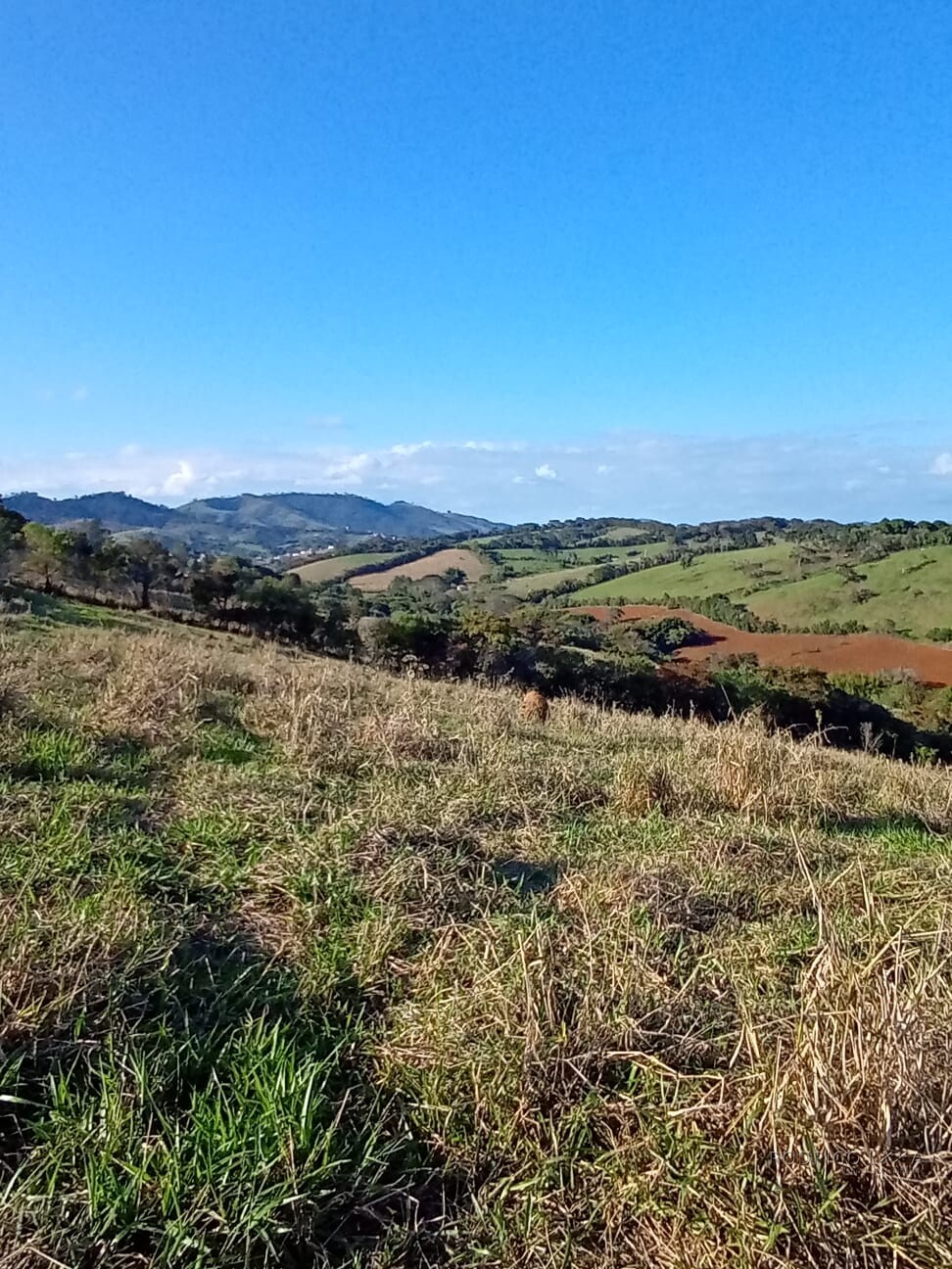 Área rural para venda próximo a São Lourenço MG