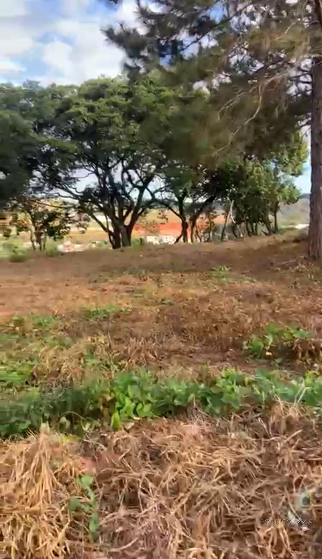 Lote para venda em São Lourenço MG