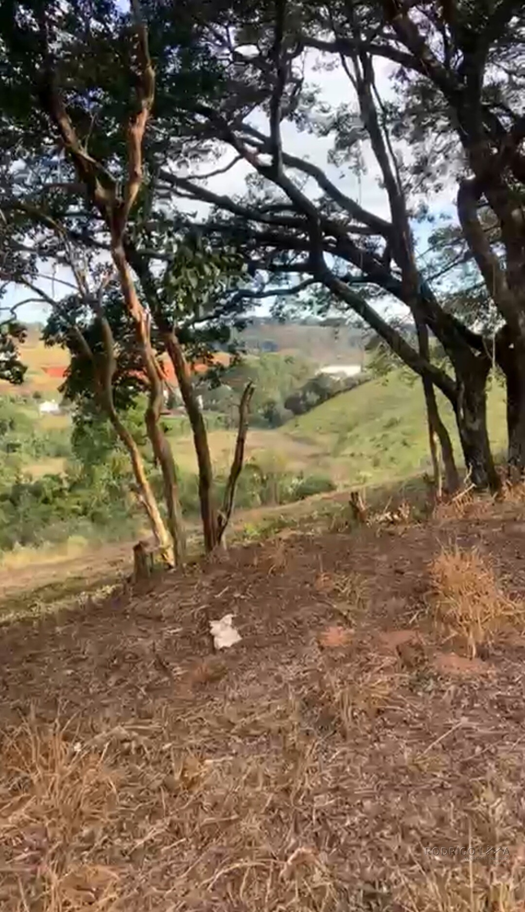 Lote para venda em São Lourenço MG