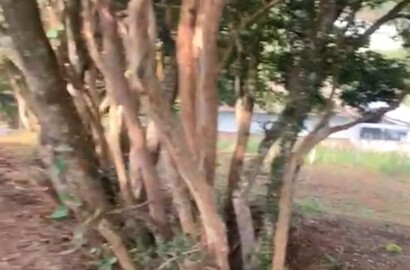 Lote para venda em São Lourenço MG
