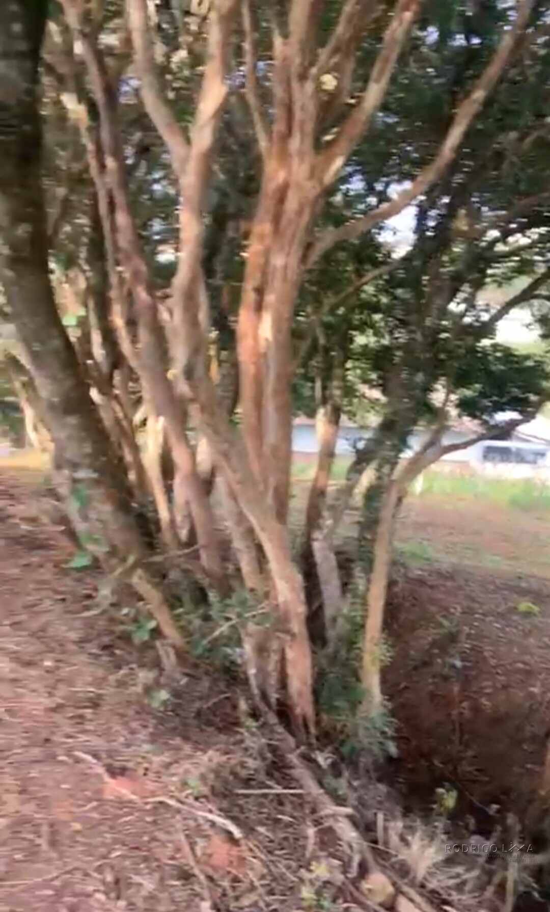 Lote para venda em São Lourenço MG