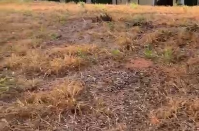 Lote para venda em São Lourenço MG