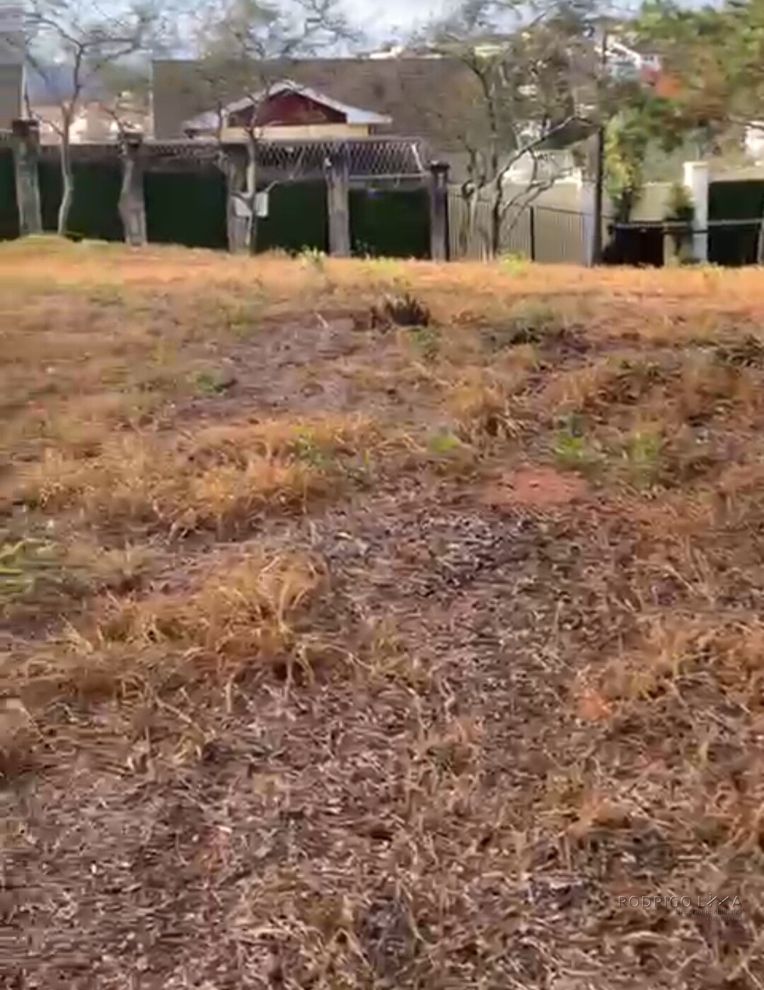 Lote para venda em São Lourenço MG
