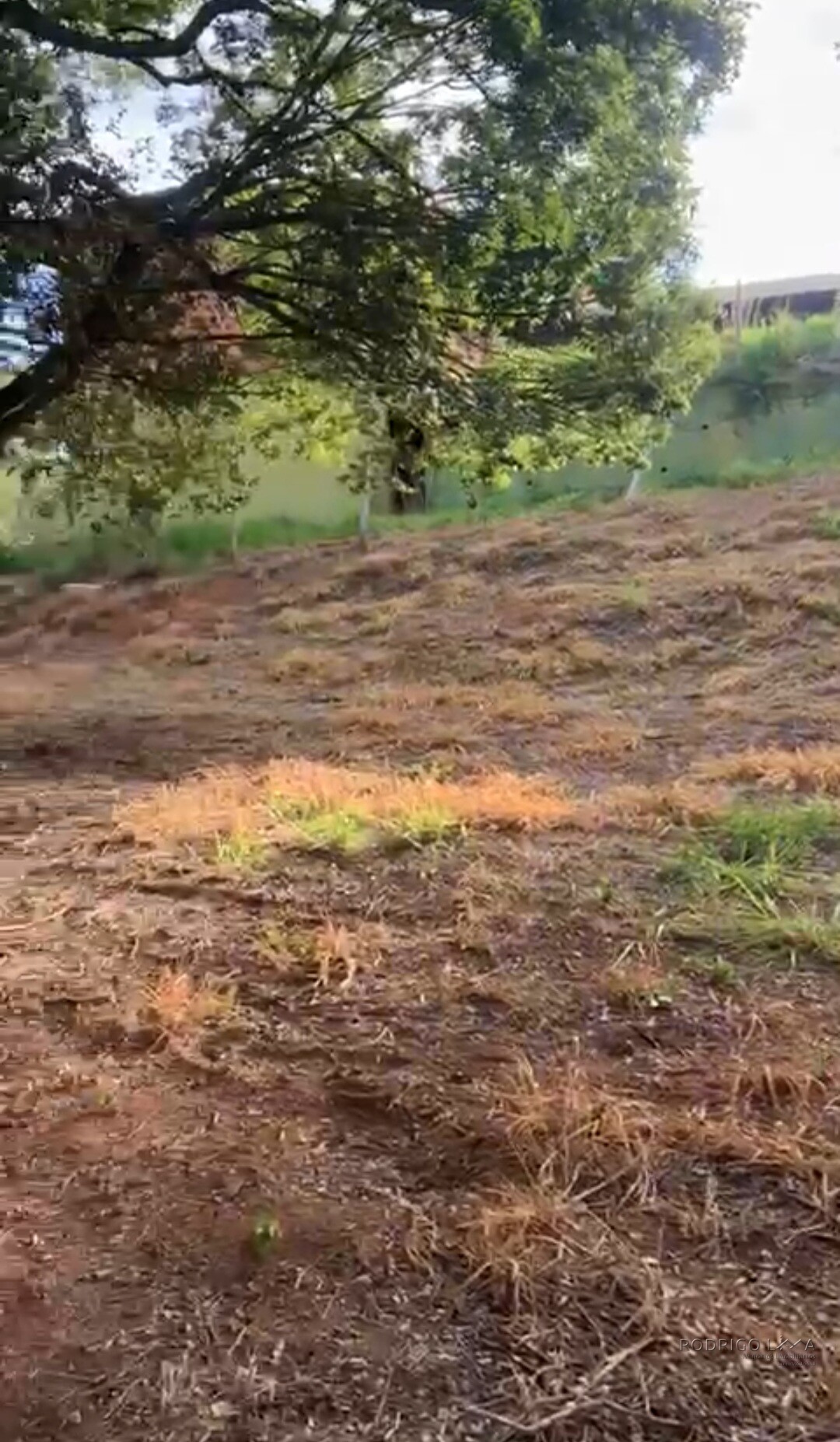 Lote para venda em São Lourenço MG