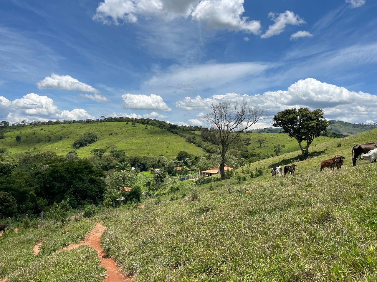 Sitio para venda em Carmo de Minas Mg