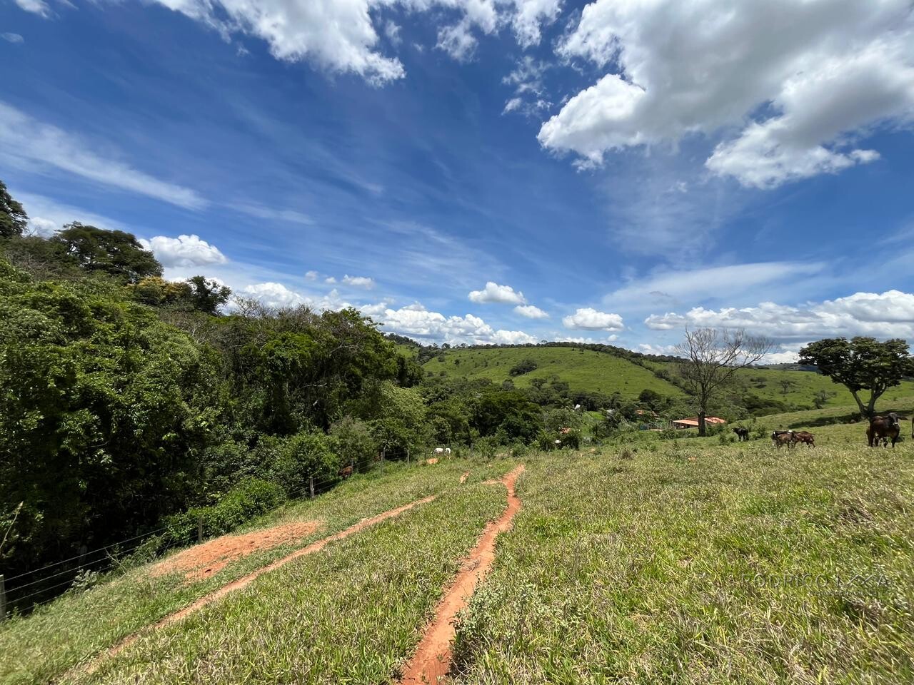 Sitio para venda em Carmo de Minas Mg