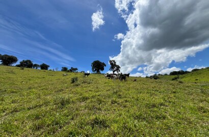Sitio para venda em Carmo de Minas Mg