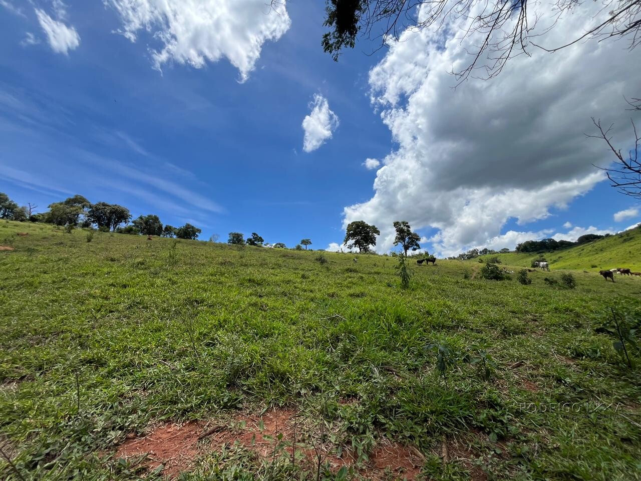 Sitio para venda em Carmo de Minas Mg