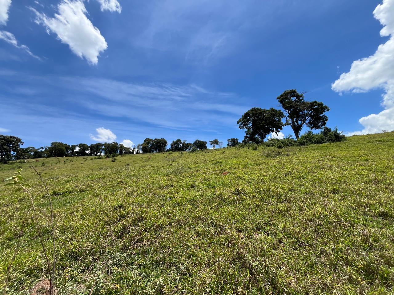 Sitio para venda em Carmo de Minas Mg