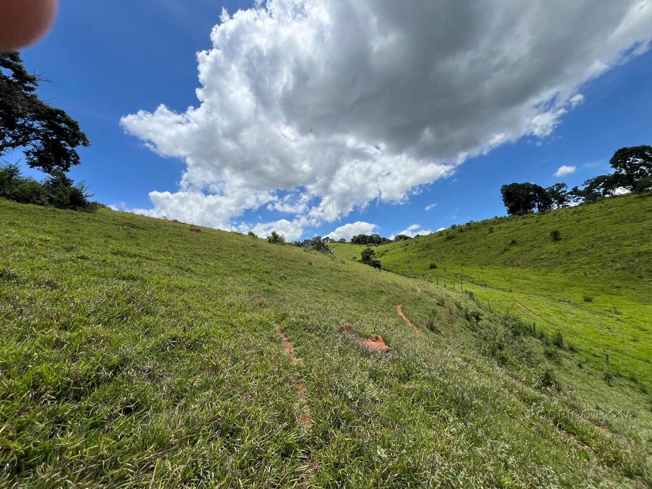 Sitio para venda em Carmo de Minas Mg