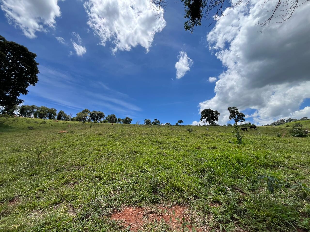 Sitio para venda em Carmo de Minas Mg
