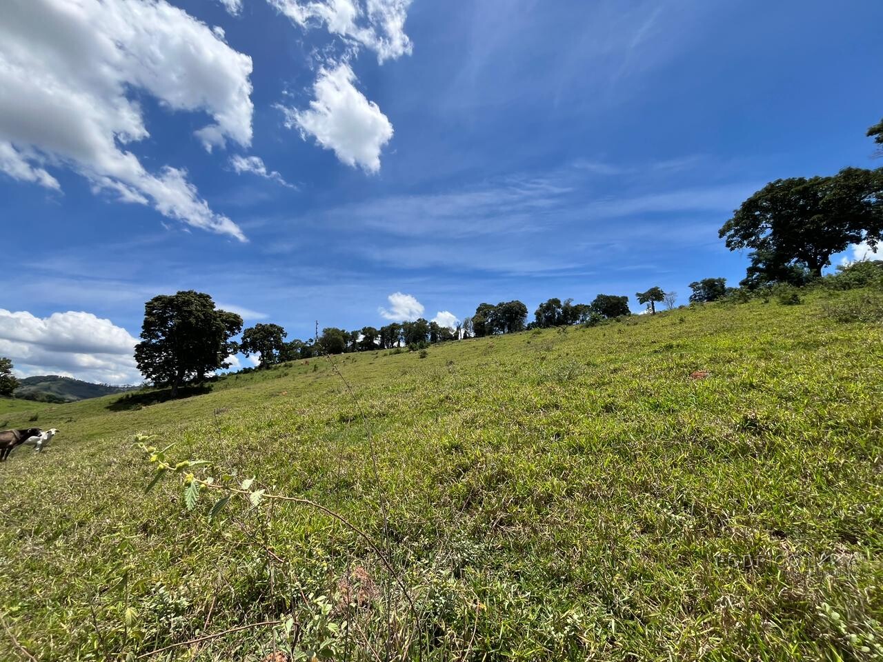 Sitio para venda em Carmo de Minas Mg