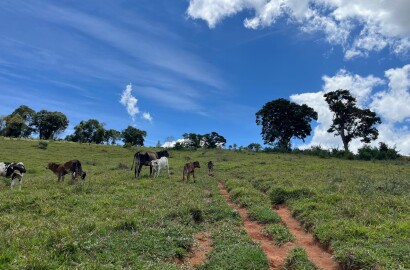 Sitio para venda em Carmo de Minas Mg