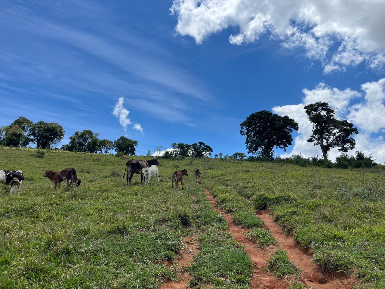 Sitio para venda em Carmo de Minas Mg