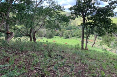 Excelente área rural para venda entre São Lourenço e Soledade MG